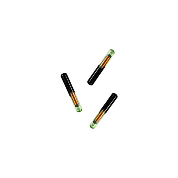 <?= htmlspecialchars($selectedKeyword, ENT_QUOTES) ?>