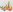 <?= htmlspecialchars($selectedKeyword, ENT_QUOTES) ?>