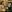 <?= htmlspecialchars($selectedKeyword, ENT_QUOTES) ?>